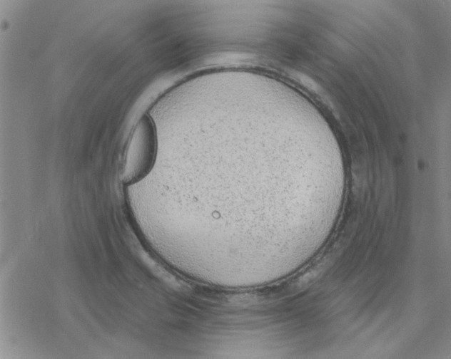 X0000076401421200610271606