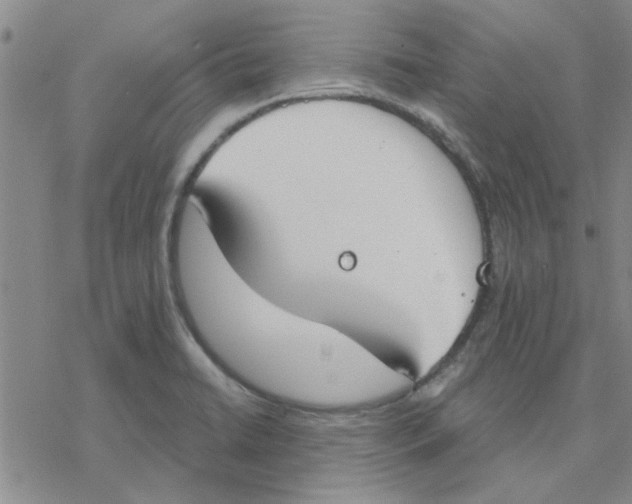 X0000076401422200610271606