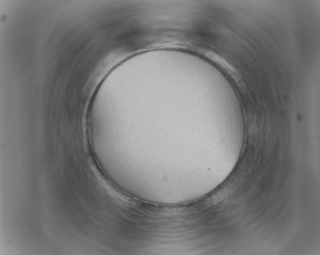 X0000076401423200610271606