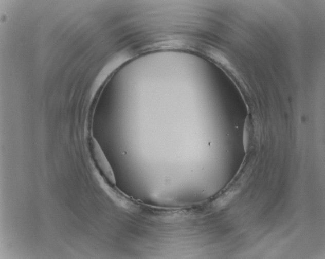 X0000076401426200610271606