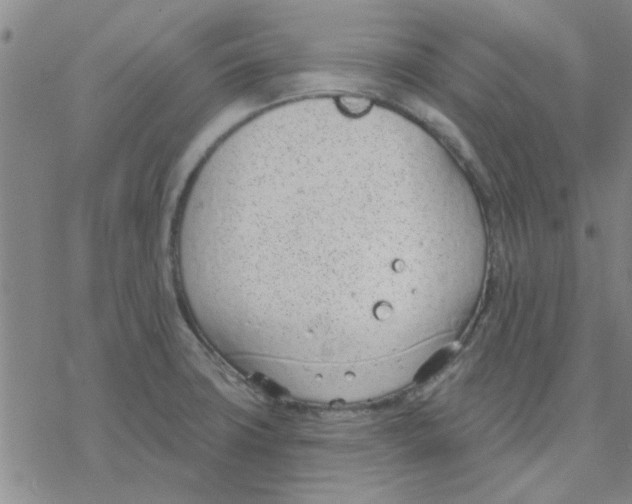 X0000076401427200610271606