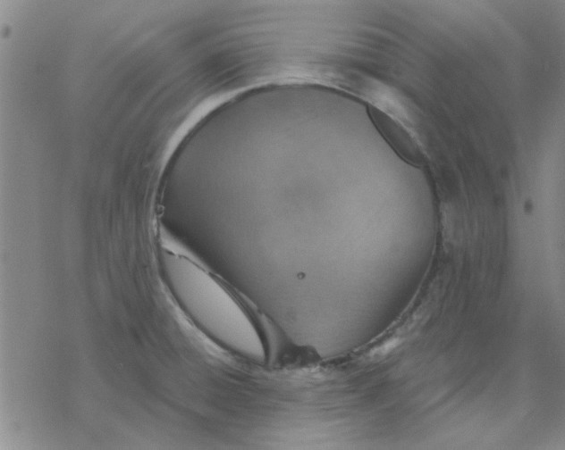 X0000076401428200610271607