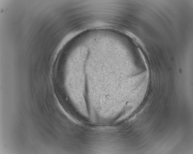 X0000076401429200610271607