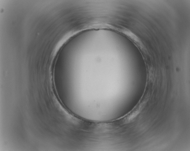 X0000076401430200610271607