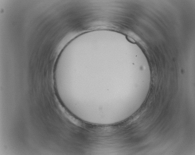 X0000076401431200610271607