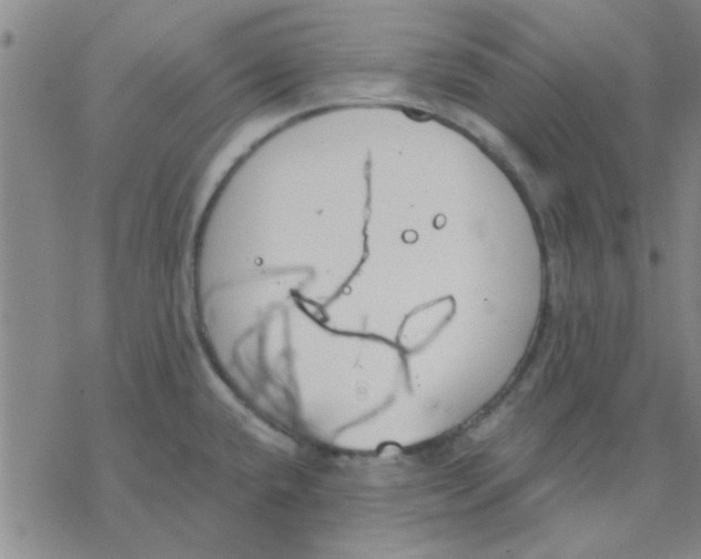 X0000076401432200610271607