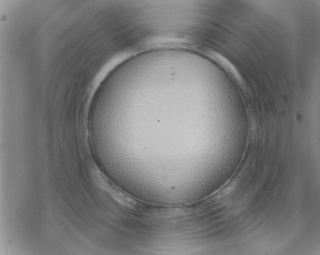 X0000076401435200610271607