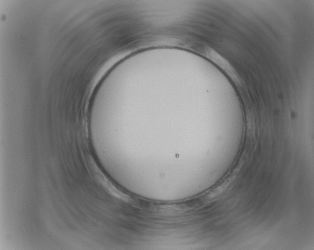 X0000076401436200610271607