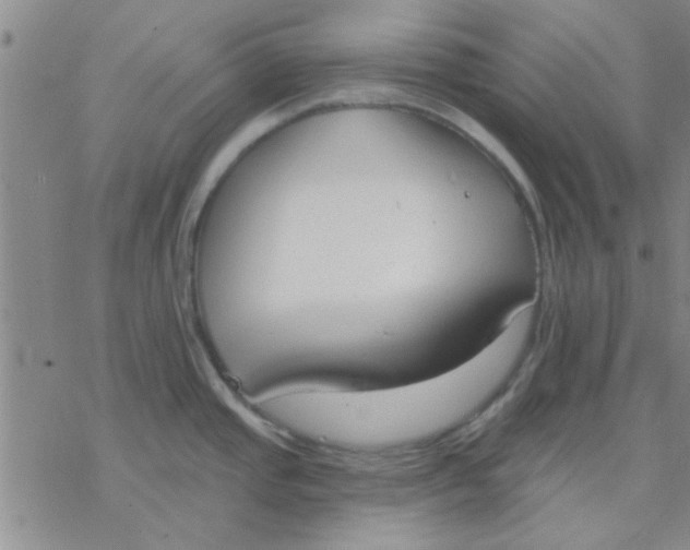 X0000076401437200610271607