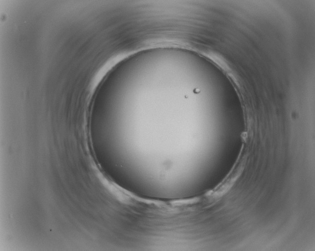 X0000076401438200610271607