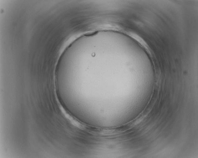 X0000076401439200610271607