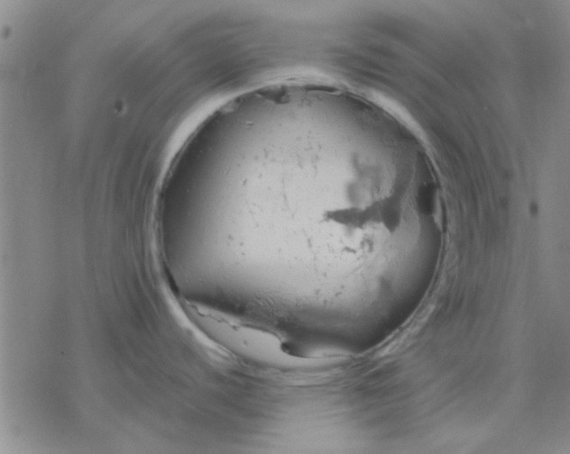 X0000076401440200610271607