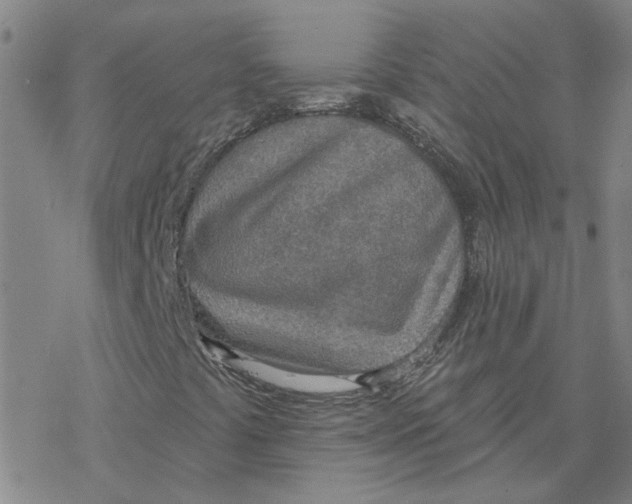 X0000076401441200610271606