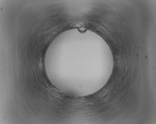 X0000076401442200610271606