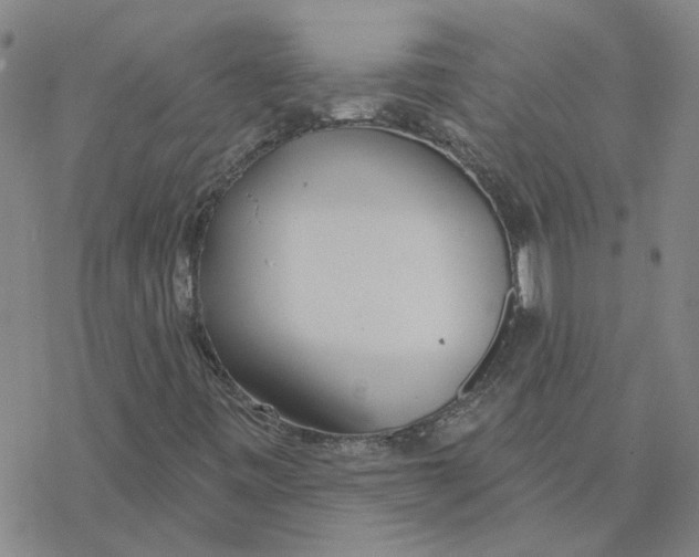 X0000076401443200610271606