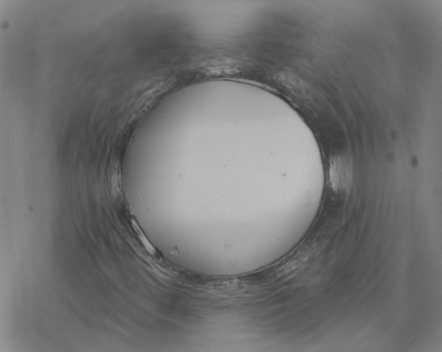 X0000076401444200610271606