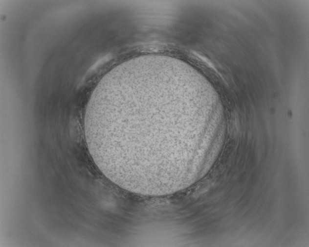 X0000076401446200610271606