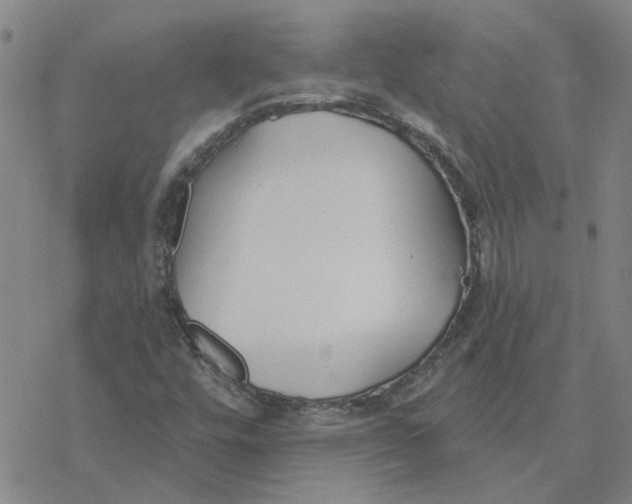 X0000076401448200610271606