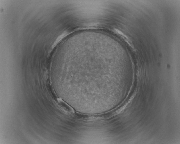 X0000076401449200610271606