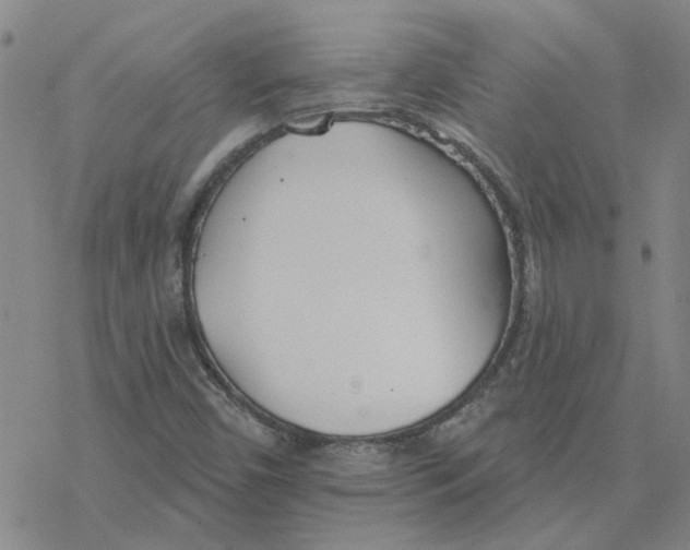 X0000076401450200610271606