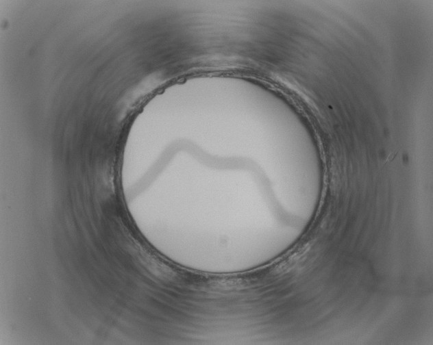 X0000076401451200610271606