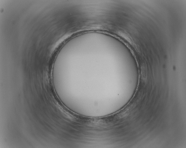 X0000076401452200610271606