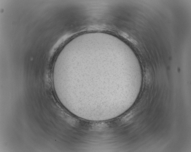 X0000076401454200610271606