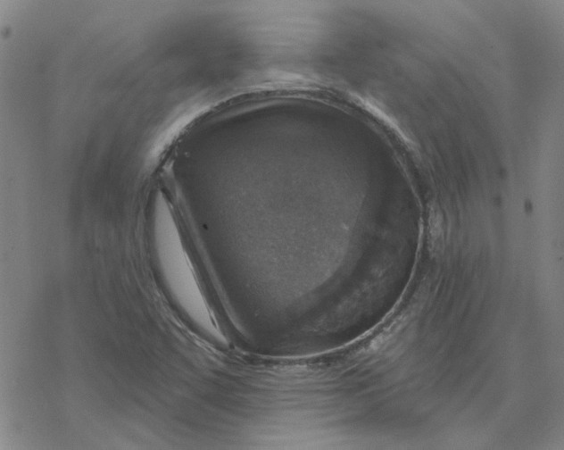 X0000076401455200610271606