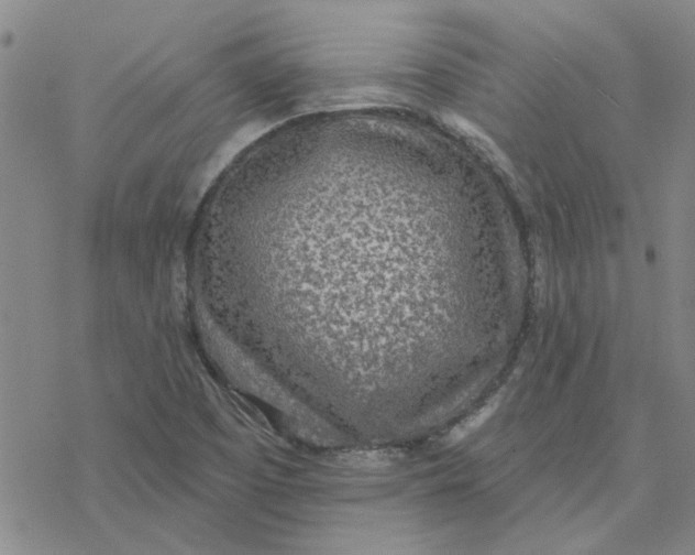 X0000076401457200610271606