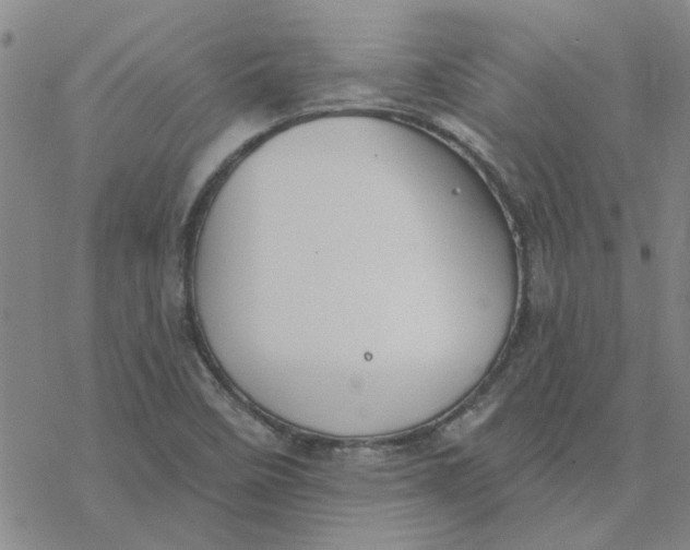 X0000076401458200610271606