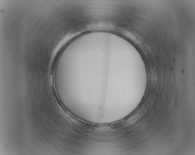 X0000076401462200610271606