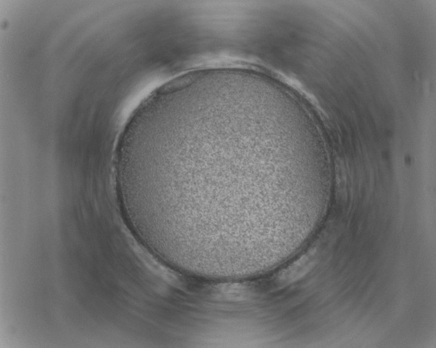 X0000076401463200610271606