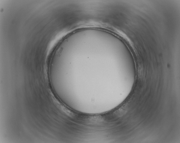 X0000076401464200610271606