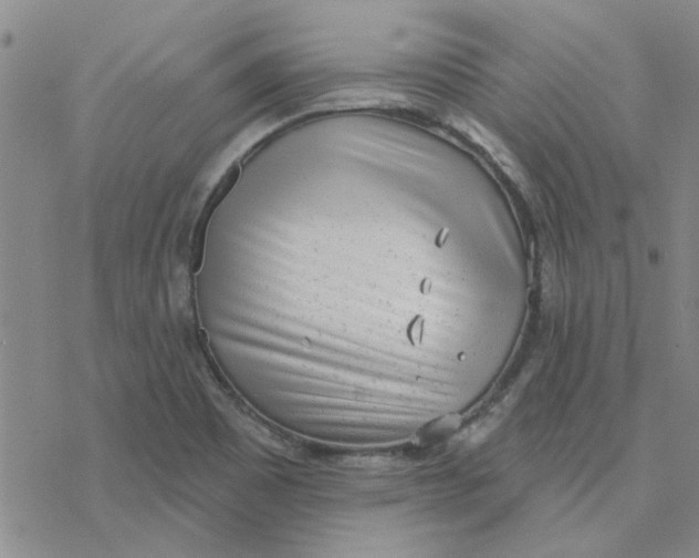 X0000076401465200610271606