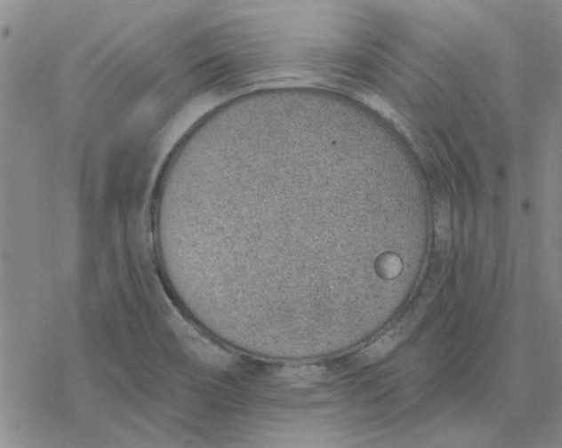 X0000076401466200610271606