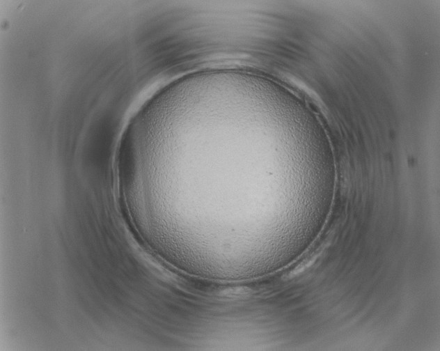 X0000076401467200610271606