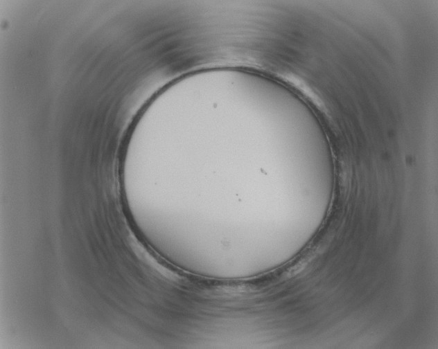 X0000076401468200610271605