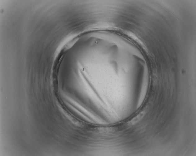 X0000076401469200610271605