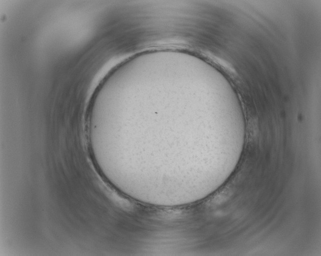 X0000076401470200610271605