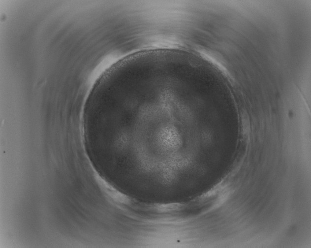 X0000076401471200610271605