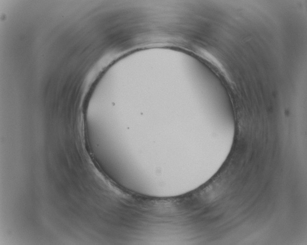 X0000076401472200610271605