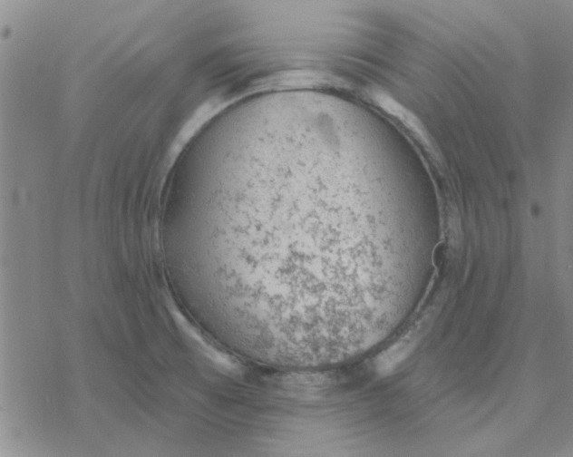 X0000076401473200610271605