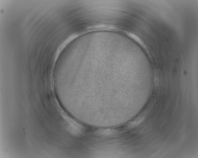 X0000076401474200610271605