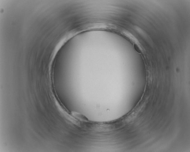 X0000076401475200610271605