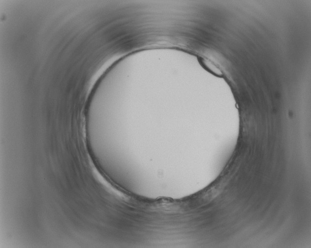 X0000076401476200610271605