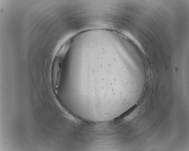 X0000076401477200610271605