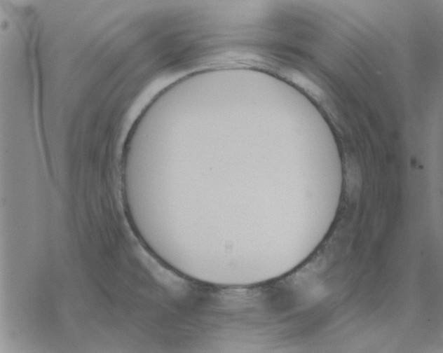 X0000076401478200610271605