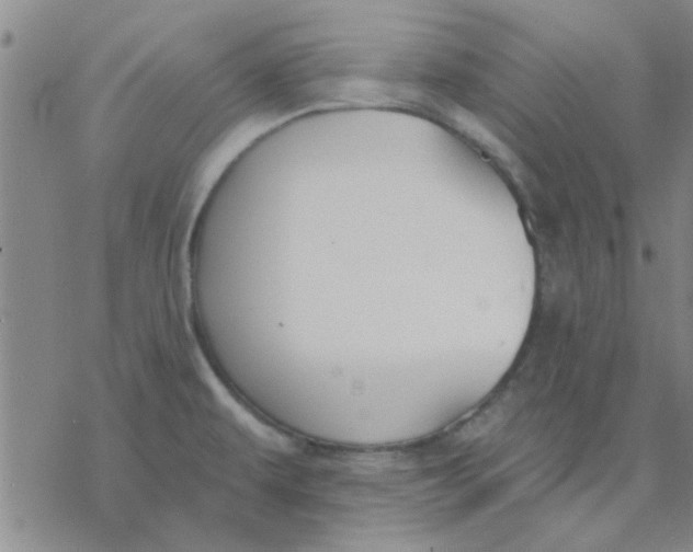 X0000076401479200610271605