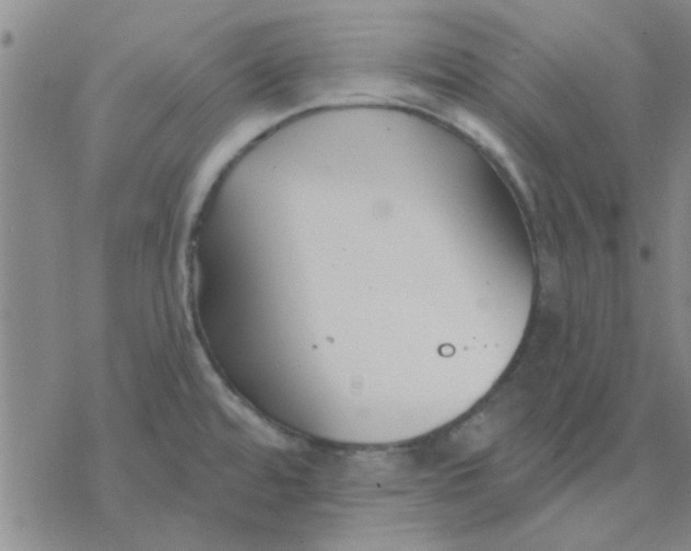 X0000076401480200610271605