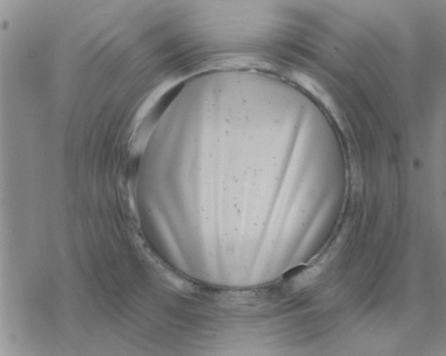 X0000076401481200610271605